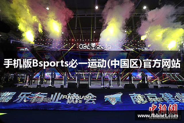手机版Bsports必一运动(中国区)官方网站